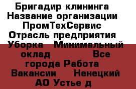 Бригадир клининга › Название организации ­ ПромТехСервис › Отрасль предприятия ­ Уборка › Минимальный оклад ­ 30 000 - Все города Работа » Вакансии   . Ненецкий АО,Устье д.